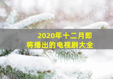 2020年十二月即将播出的电视剧大全