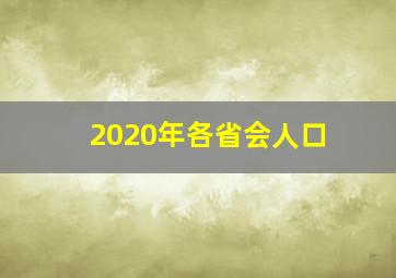 2020年各省会人口