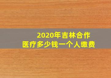 2020年吉林合作医疗多少钱一个人缴费