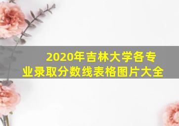 2020年吉林大学各专业录取分数线表格图片大全