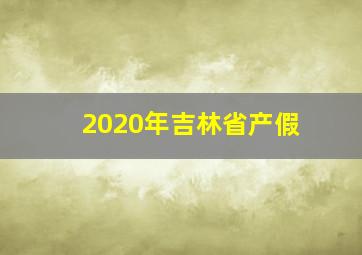 2020年吉林省产假