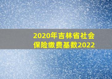 2020年吉林省社会保险缴费基数2022