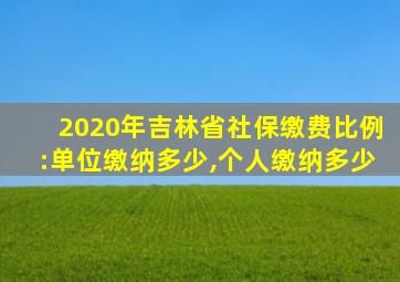 2020年吉林省社保缴费比例:单位缴纳多少,个人缴纳多少