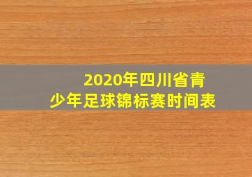 2020年四川省青少年足球锦标赛时间表