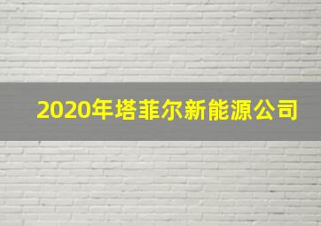 2020年塔菲尔新能源公司