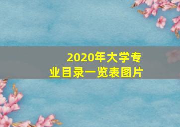 2020年大学专业目录一览表图片