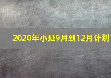 2020年小班9月到12月计划