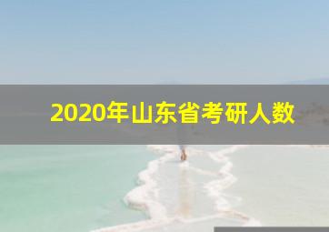 2020年山东省考研人数