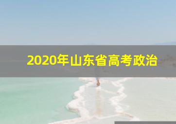 2020年山东省高考政治