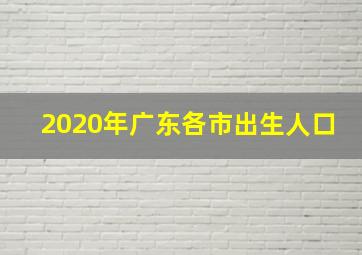 2020年广东各市出生人口