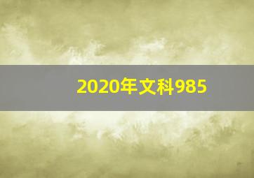 2020年文科985