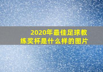 2020年最佳足球教练奖杯是什么样的图片