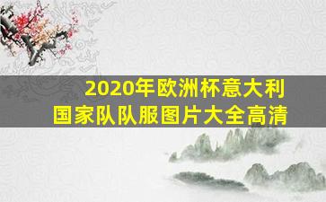 2020年欧洲杯意大利国家队队服图片大全高清