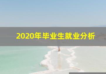 2020年毕业生就业分析