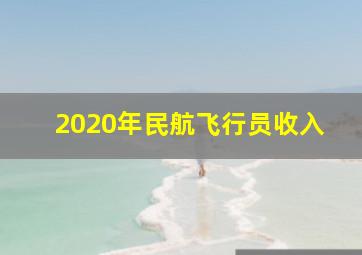 2020年民航飞行员收入