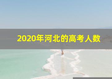 2020年河北的高考人数