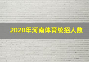 2020年河南体育统招人数