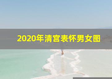 2020年清宫表怀男女图