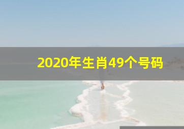 2020年生肖49个号码