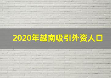 2020年越南吸引外资人口