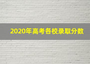 2020年高考各校录取分数