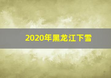 2020年黑龙江下雪