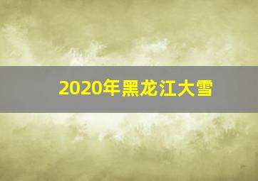 2020年黑龙江大雪