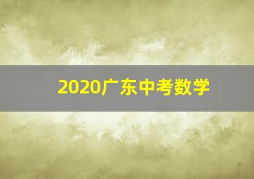 2020广东中考数学