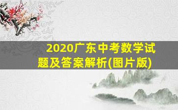 2020广东中考数学试题及答案解析(图片版)