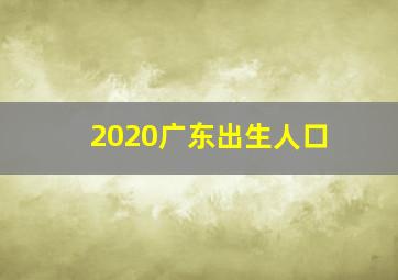 2020广东出生人口