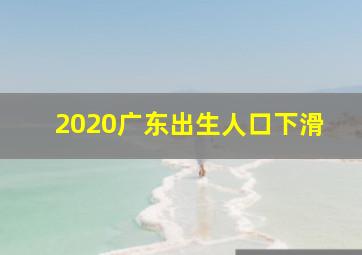 2020广东出生人口下滑