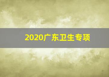 2020广东卫生专项