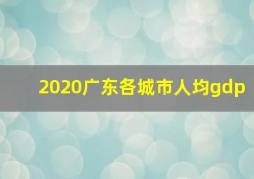 2020广东各城市人均gdp