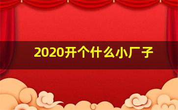 2020开个什么小厂子