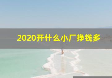 2020开什么小厂挣钱多