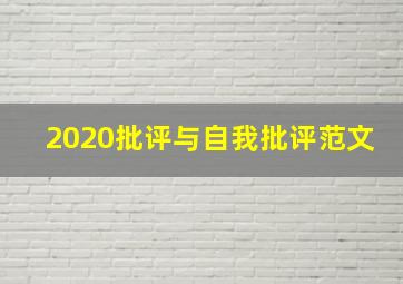 2020批评与自我批评范文