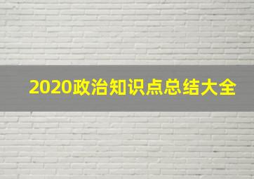 2020政治知识点总结大全