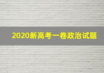 2020新高考一卷政治试题