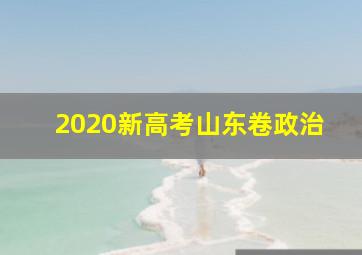 2020新高考山东卷政治