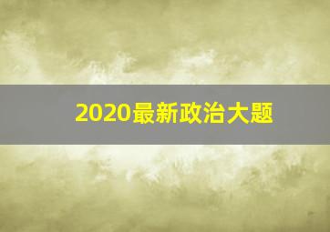 2020最新政治大题