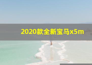 2020款全新宝马x5m