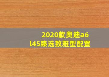 2020款奥迪a6l45臻选致雅型配置