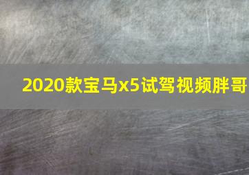 2020款宝马x5试驾视频胖哥