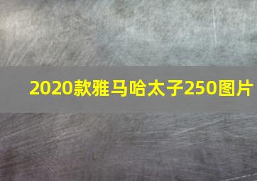 2020款雅马哈太子250图片