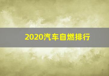 2020汽车自燃排行