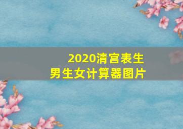 2020清宫表生男生女计算器图片