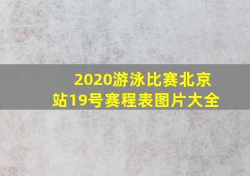 2020游泳比赛北京站19号赛程表图片大全