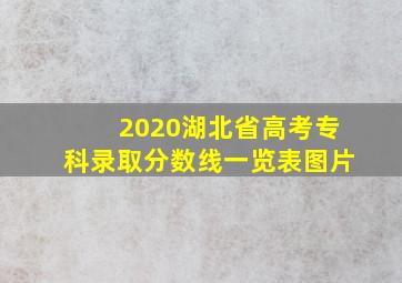 2020湖北省高考专科录取分数线一览表图片