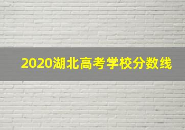 2020湖北高考学校分数线