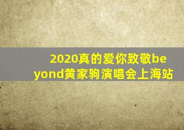 2020真的爱你致敬beyond黄家驹演唱会上海站